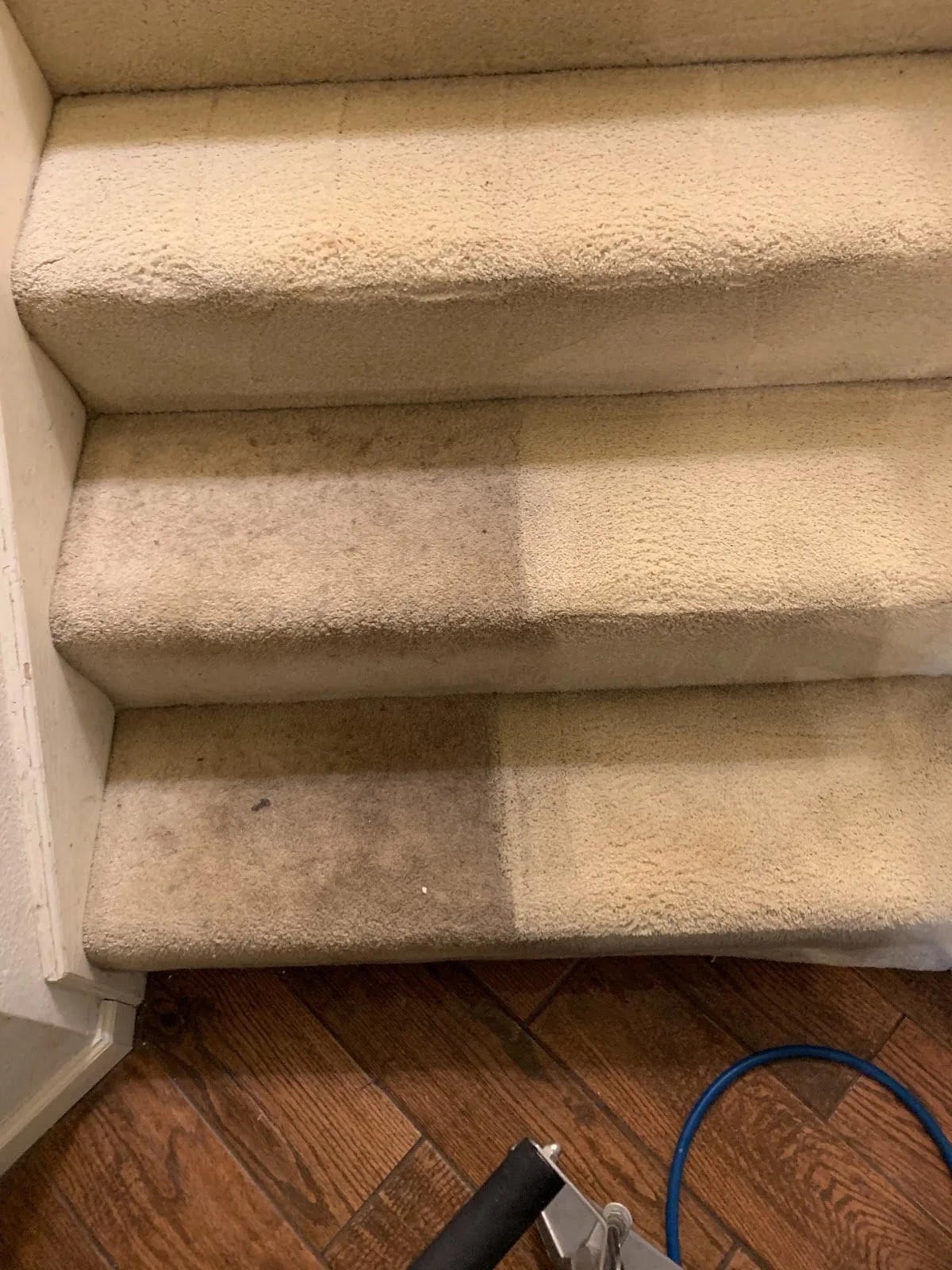 Before and after carpet cleaning showing dramatic difference