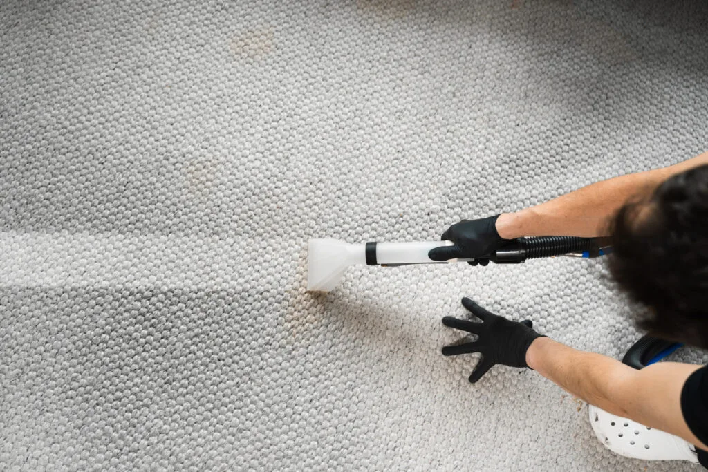 Oriental Rug Cleaning