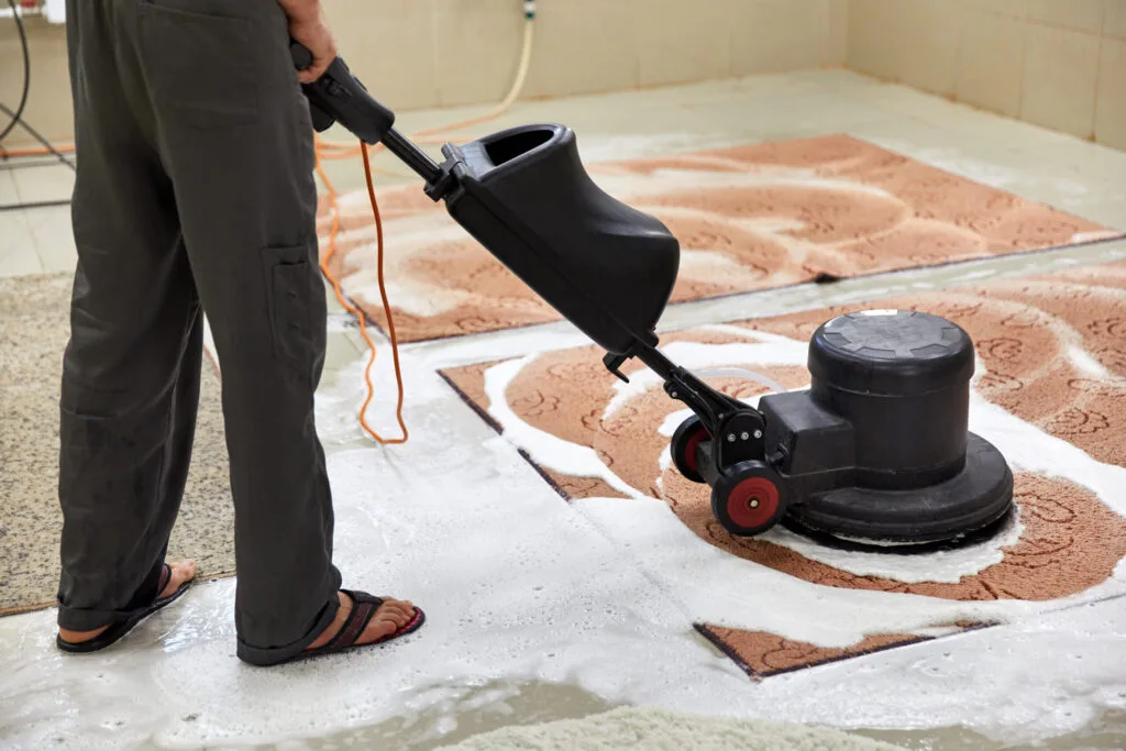 Rug Moth Treatment