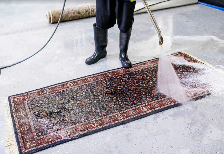 Professional rug cleaning service